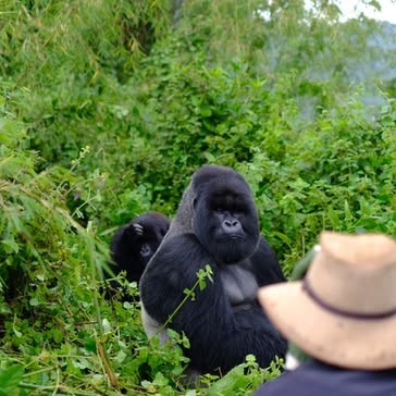 Mgahinga Gorilla National Park